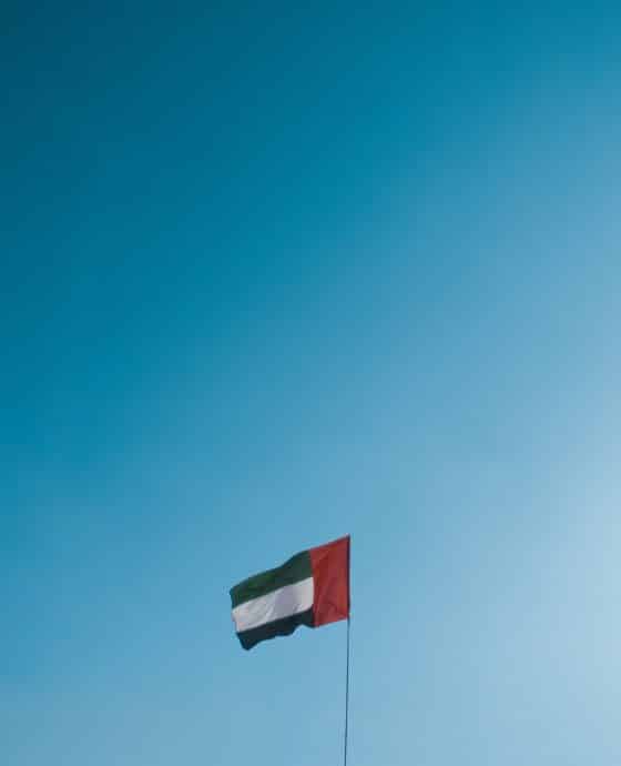 Amendments to Certain UAE Laws & Regulations